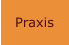 Praxis